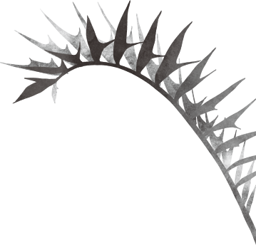 Chez Kentaro シェ・ケンタロウ