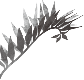 Chez Kentaro シェ・ケンタロウ