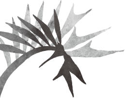 Chez Kentaro シェ・ケンタロウ